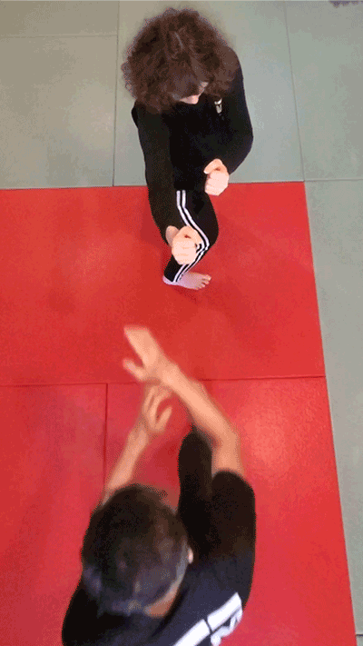 Another version of the simultaneous defence and offence of the Choy Li Fut kung fu forearm block - Chuen Sau or