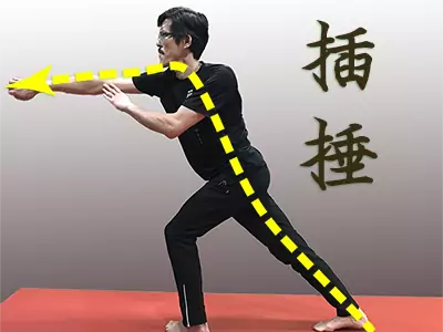 kung fu techniques