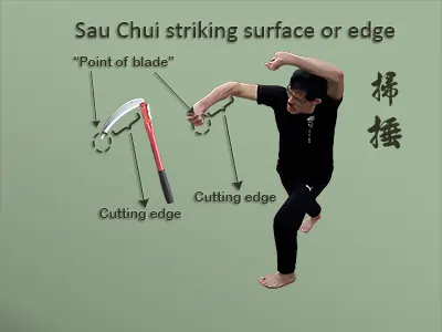 Comparison of the shape of the Saau Chui punch technique to the shape of the sickle