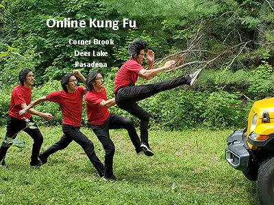 image-online-kung-fu-Newfoundland-town-Corner Brook, Deer Lake, Pasadena