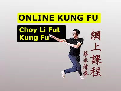 image-online kungfu classes pamphlet