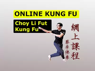 kung fu moves for beginners