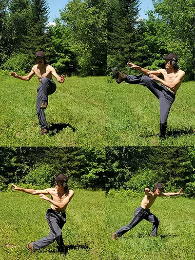 kung fu moves for beginners