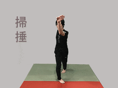gif image of Choy Li Fut technique