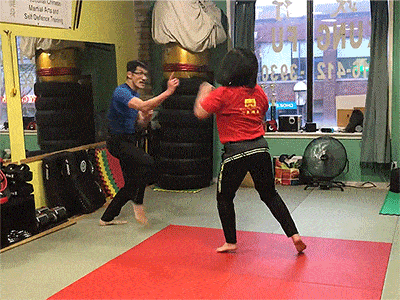gif image-kung fu technique application sparring