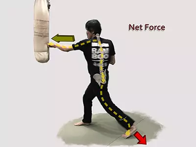 image-kung fu technique pose